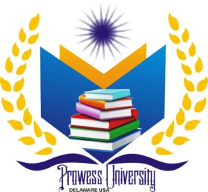Prowess University Delaware Logo